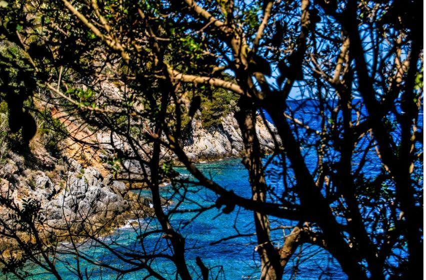 Appartamento Indipendente Vista Unica Манчиано Экстерьер фото